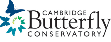 cambridge butterfly conservatory